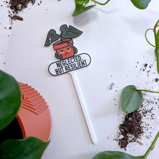 Neglected But Resilient