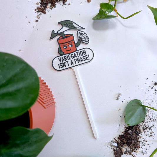 Variegation Isn't A Phase Pride