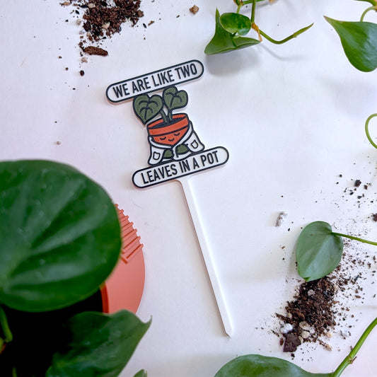 We Are Like Two Leaves In A Pot