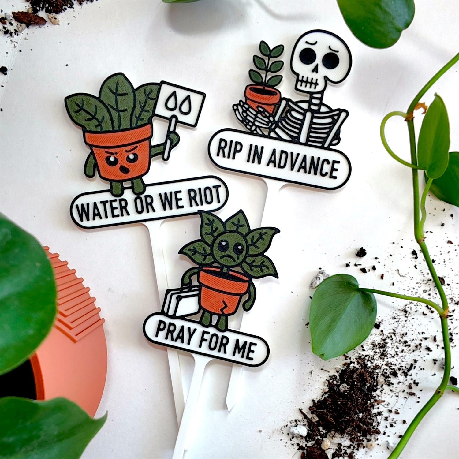 Sassy Plant Tags