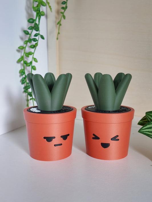 Sprouts Salt & Pepper Set