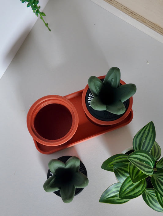 Sprouts Salt & Pepper Set