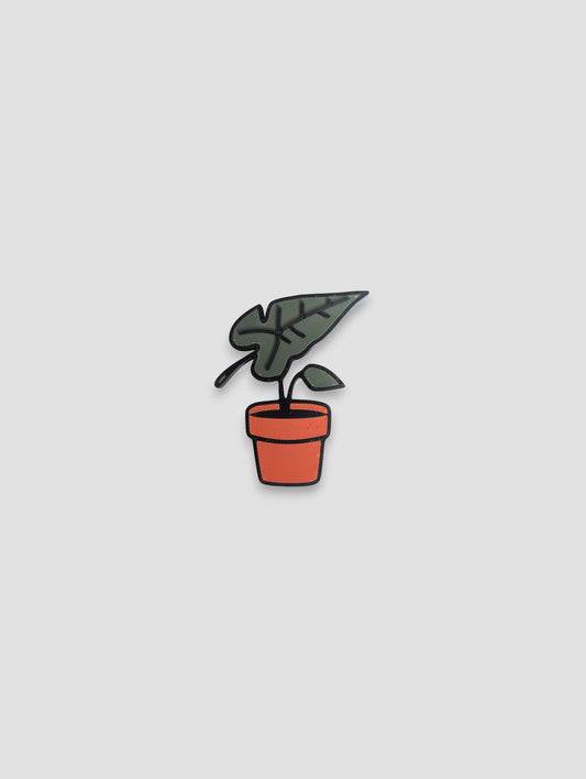 Alocasia Magnet