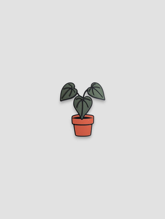 Anthurium Magnet