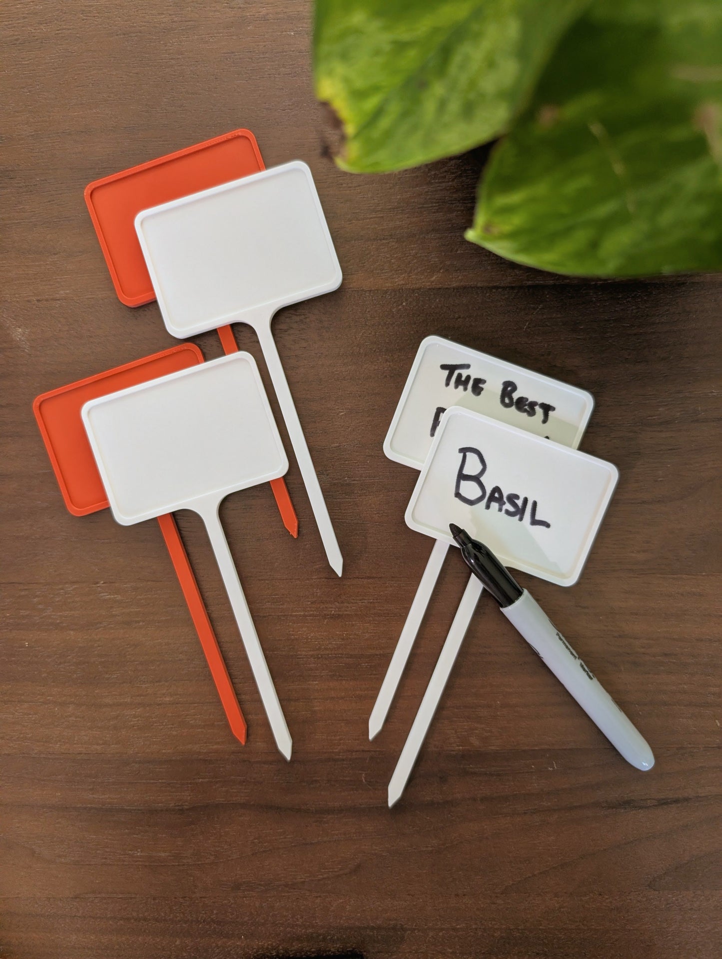 DIY Plant Tags (Individual)