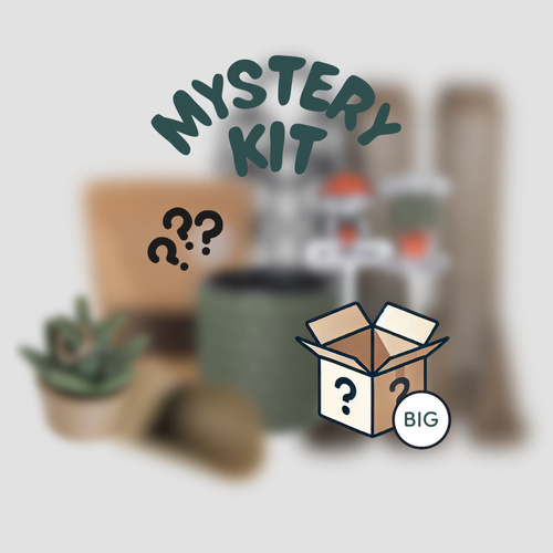 Mystery Kit (BIG)