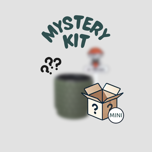 Mystery Kit (MINI)