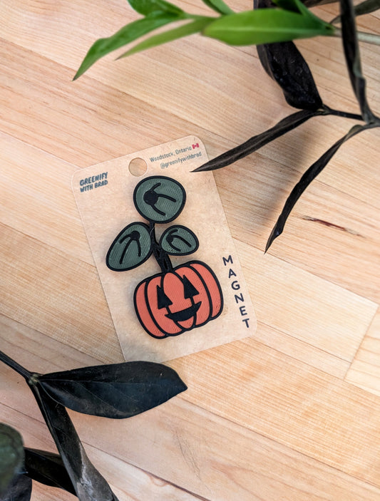 Pumpkin Oval Plant Magnet