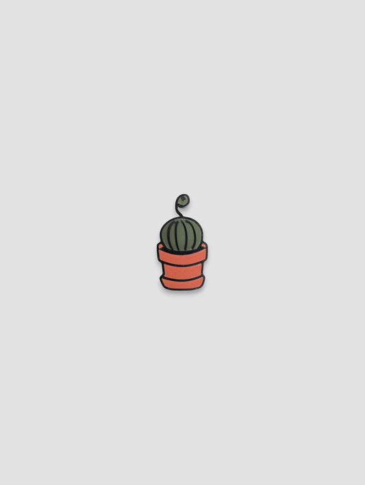 Succulent Magnet