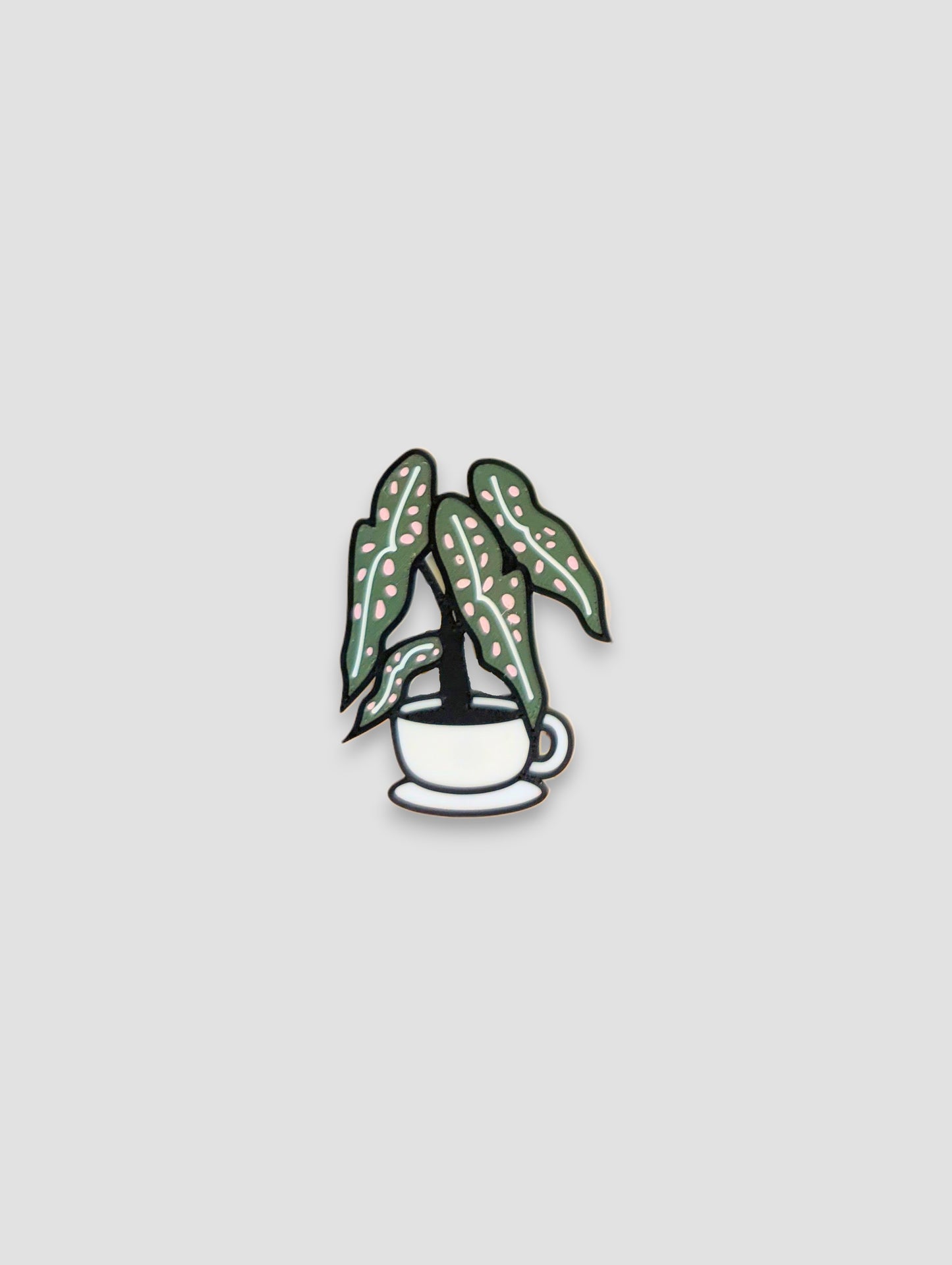 Tea Cup Begonia (Pink) Magnet