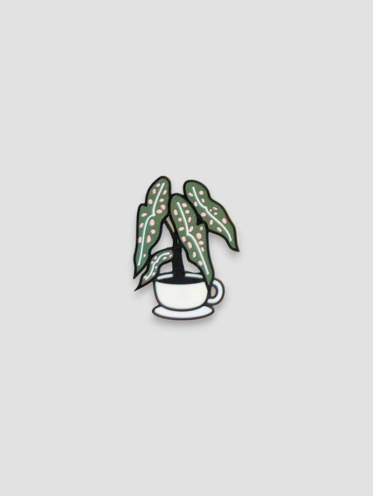 Tea Cup Begonia (Pink) Magnet