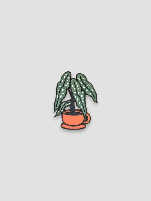 Tea Cup Begonia (White) Magnet