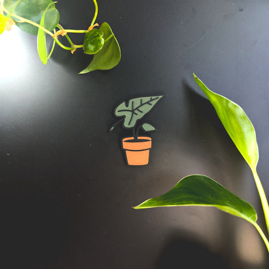 Alocasia Magnet