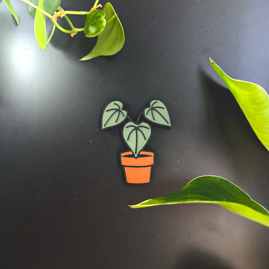 Anthurium Magnet
