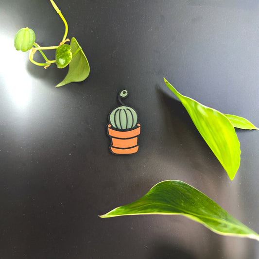Succulent Magnet