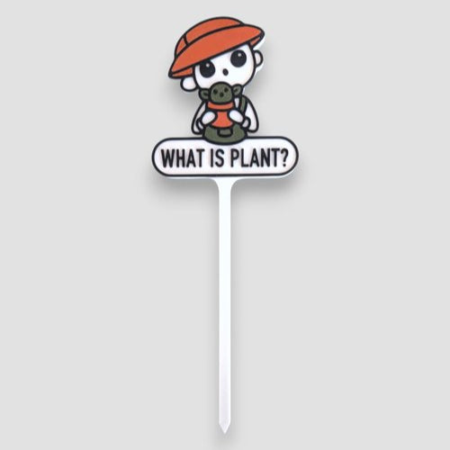 What Is Plant?